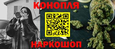 стафф Лесосибирск